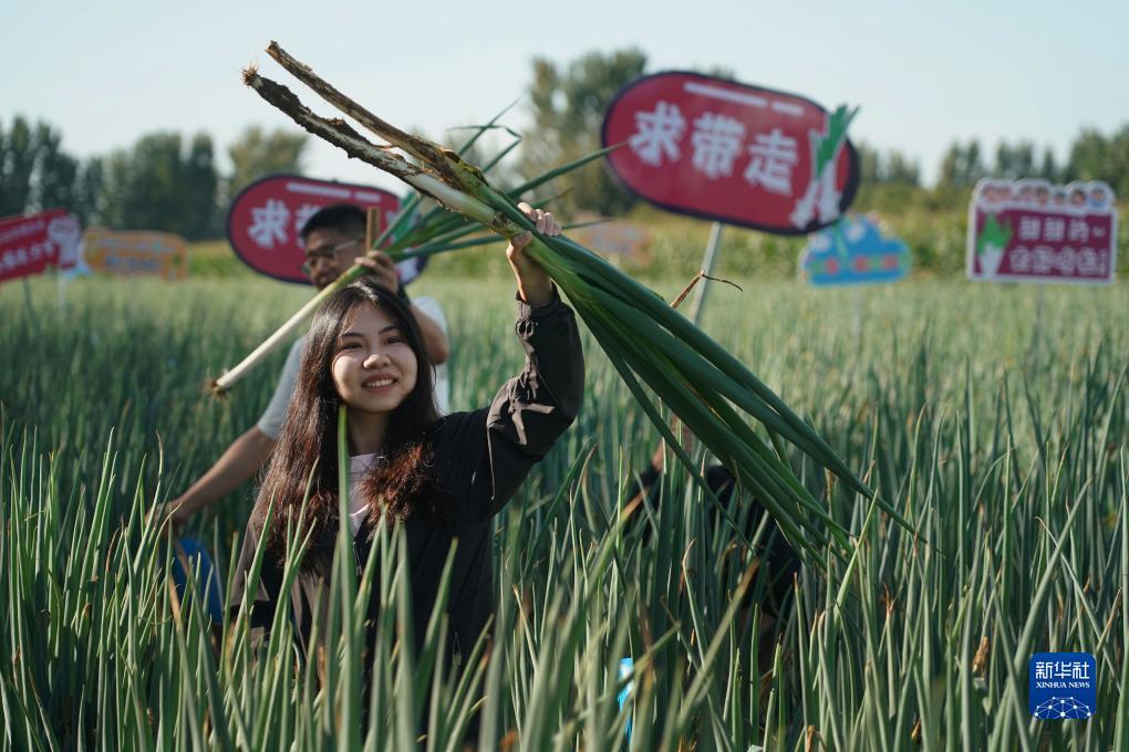 捕鱼达人3老版本免费